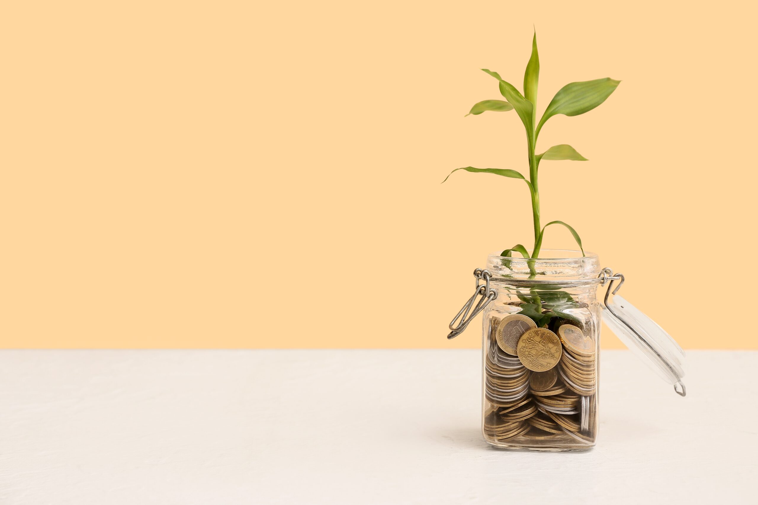 Jar,With,Coins,And,Plant,On,Table,Against,Beige,Background